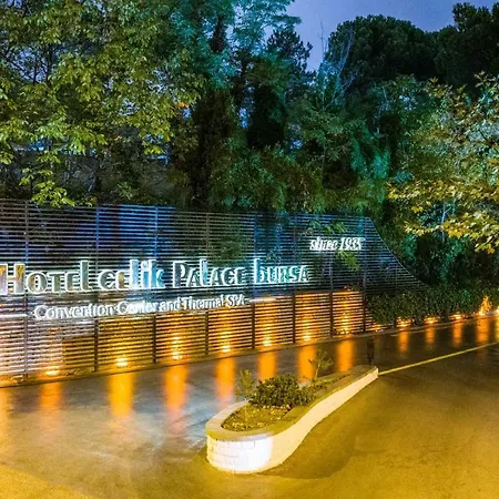 Celik Convention Center & Thermal Hotel Bursa