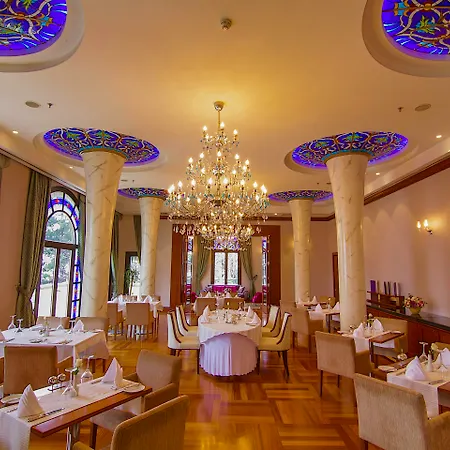 Hotel Celik Convention Center & Thermal Bursa