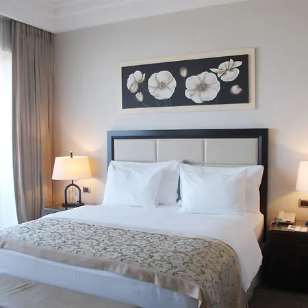 Hotel Celik Convention Center & Thermal