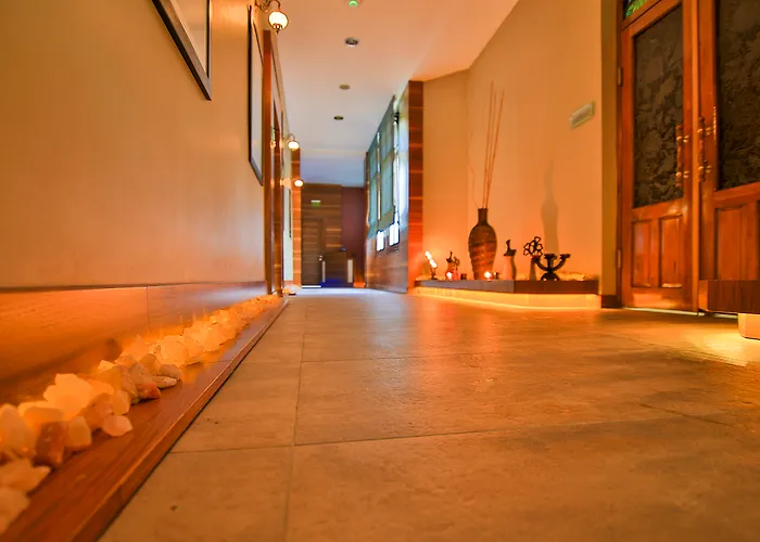 Hotel Celik Convention Center & Thermal Bursa