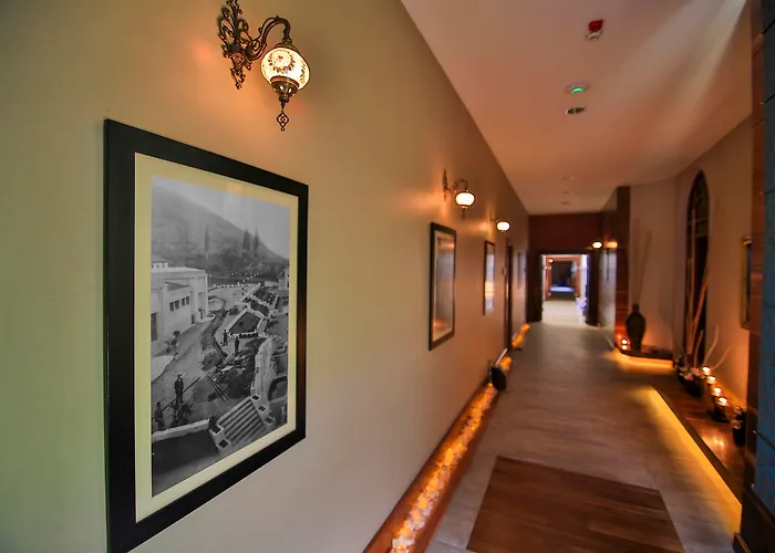 Hotel Celik Convention Center & Thermal Bursa