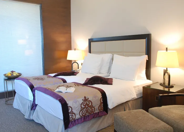 Celik Convention Center & Thermal